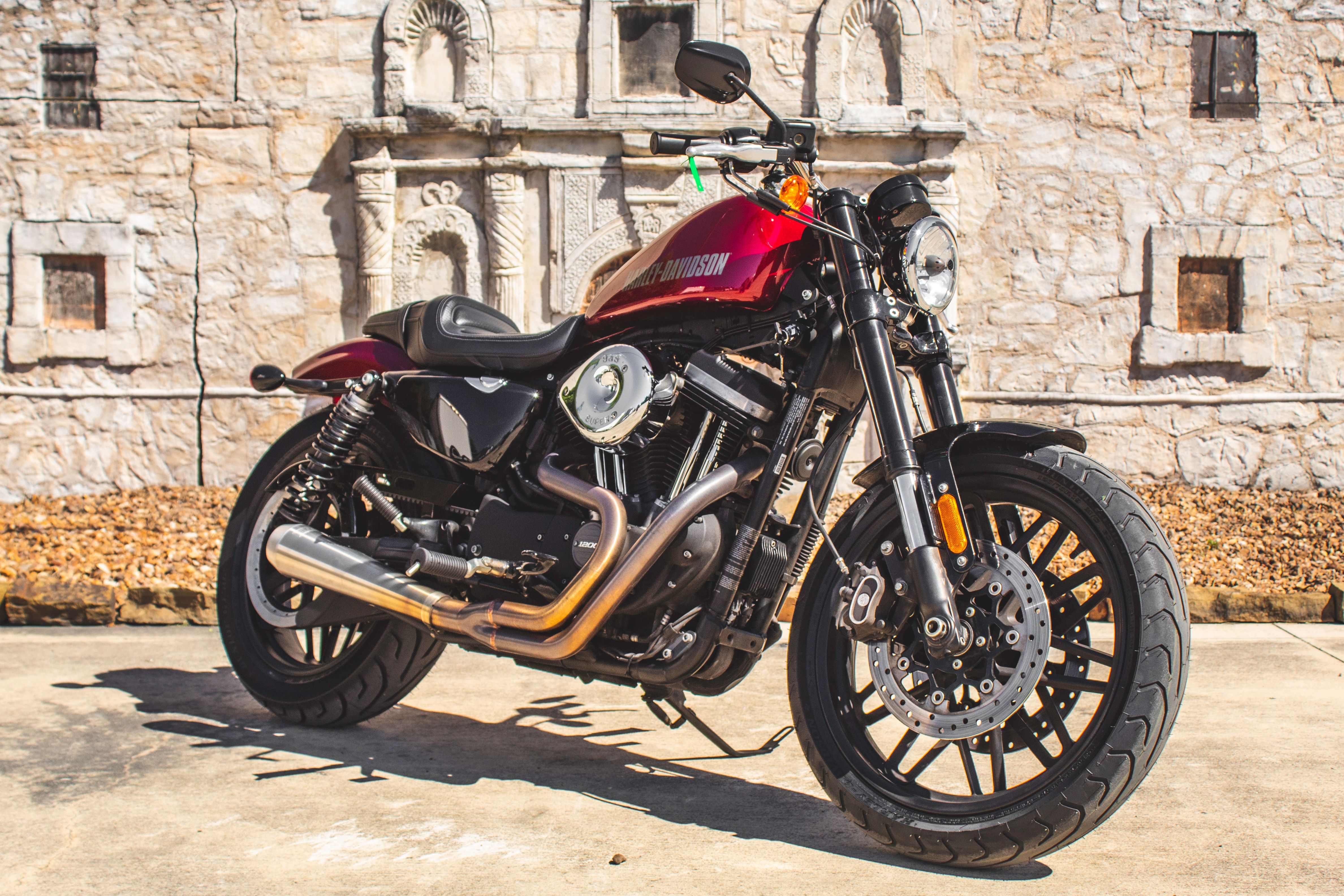 harley davidson roadster for sale